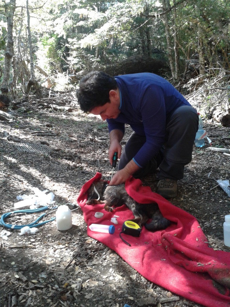 20140326_133839_Dario Moreira (1)